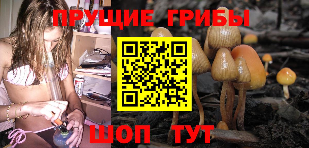 Псилоцибиновые грибы Cubensis  Галлюциногенные грибы Cubensis  купить   Вход с VPN  Луховицы 